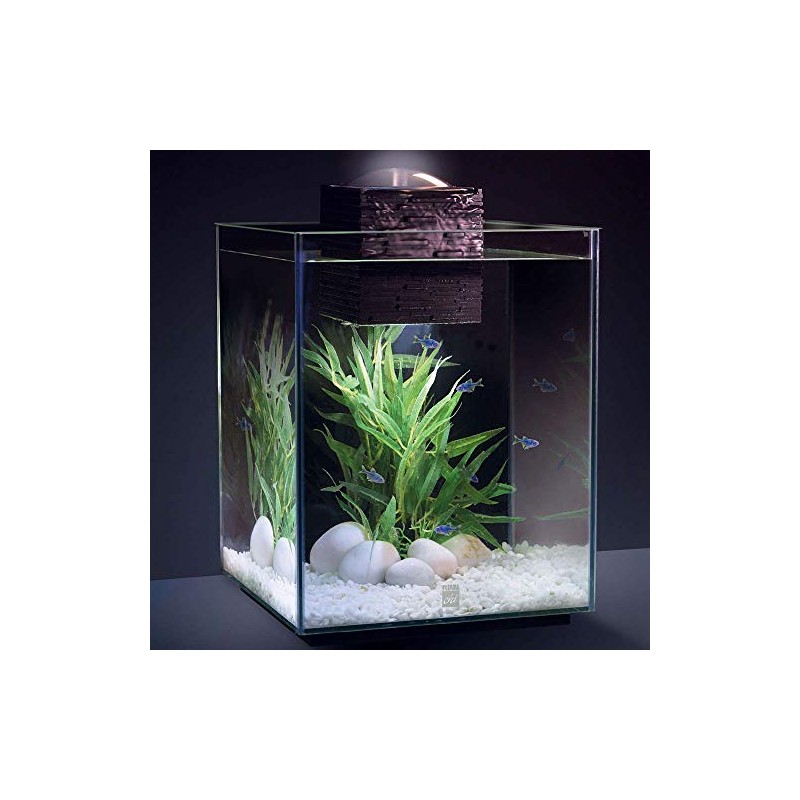 Fluval Chi II Set para Acuario, 5 galones