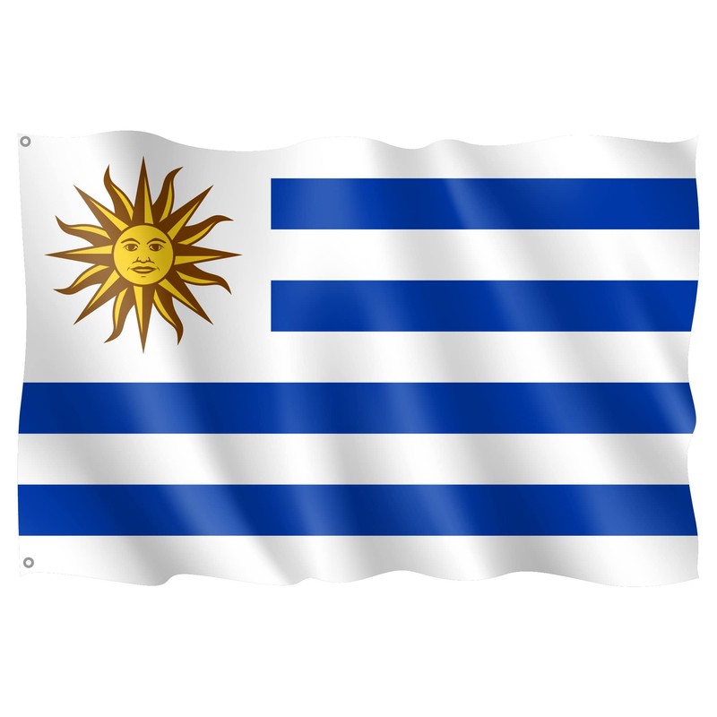 OEDIM Uruguay Flag | 5ft x 33in | Reinforced and