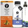 Dolce Flav Blueberry Extract - 2 Ounce Oil-Soluble Multipurpose Flavoring
