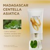 Madagascar Centella Soothing Cream by Skin1004 for Women - 2.53
