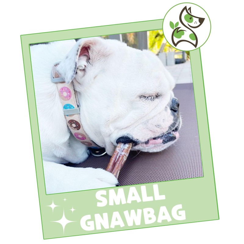 Nature Gnaws Variety Pack for Small Dogs (12 Count) -