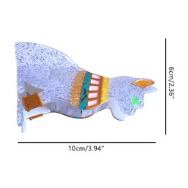 Novelty Mysterious Cat Claw Clip,Funny Acetate Claw Clip for Women,Fashion Hair Clip,White