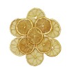 American Best Food Dehydrated Lemon Slices, Dried Lemon Slices, Round Shape Lemon Slices, 3 Oz