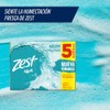 Zest Pack de 5 Jabones en Barra Aqua, 5 x
