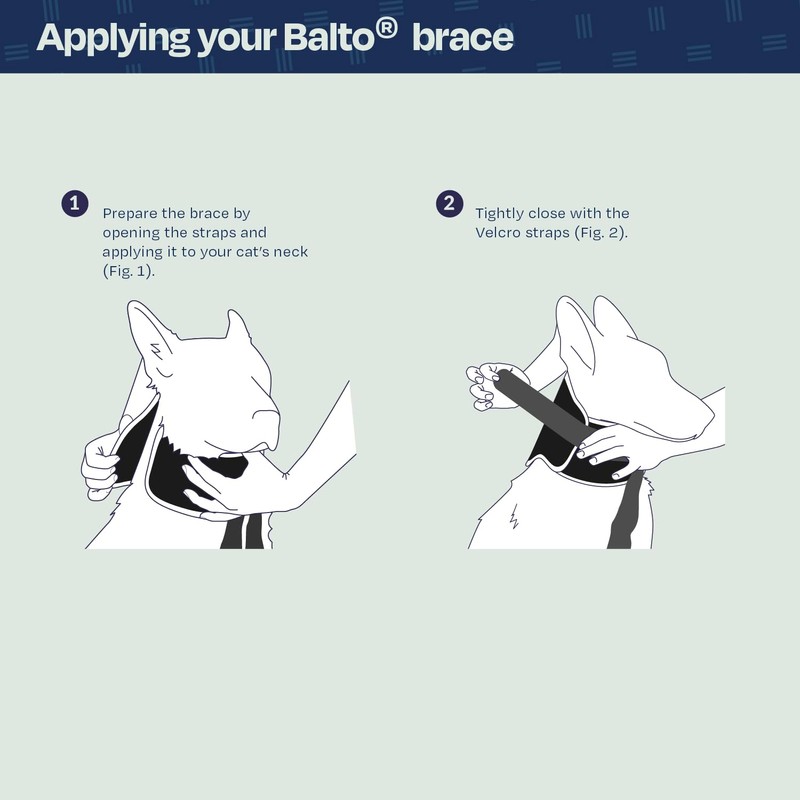 Balto Neck Eco Soft Recovery Collar for Dogs – E-Collar
