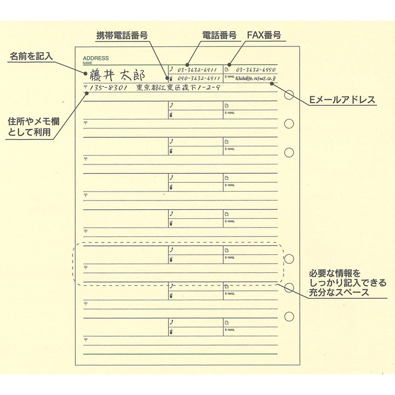 Raymay Fujii Da Vinci Memo Refills A5