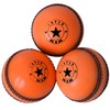 SPIN FIRST Soft & Safe Indoor Outdoor Incrediball Cricket Balls!