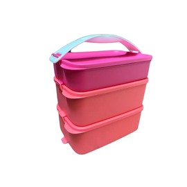 NewTupperware Lunch Box Stackable Pak N Carry Click To Go Handle Set of 3