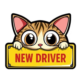 New Driver Sticker – Cute Peeking Cartoon Animal Car Decal for Teens & Learner Drivers – Funny Safety Warning Sign for Rear Window or Bumper, Waterproof Vinyl (Kitty Cat)