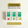 Twinings Bioblends Chamomile and Linden Tea with Friendly Bacteria, 72