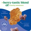 Kashi Breakfast Cereal, Organic, Whole Grain, Blueberry Clusters, 17.2oz Box