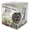 Mini Blown Glass Hanging Terrarium-
