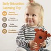TuiVeSafu Baby TV Remote Control Toy with Cute Crab Soft