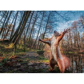 DOUBLETOP Red Squirrel In The Forest 1000 Pieces Paper Fun Jigsaw Puzzles Adult Decompression Leisure Toys Children'S Hand-Eye Coordination DIY Puzzles Family Parent-Child Games Birthday Gifts Box