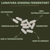 Lunatura - Ginseng Capsules - Fermented Siberian and Korean Ginseng