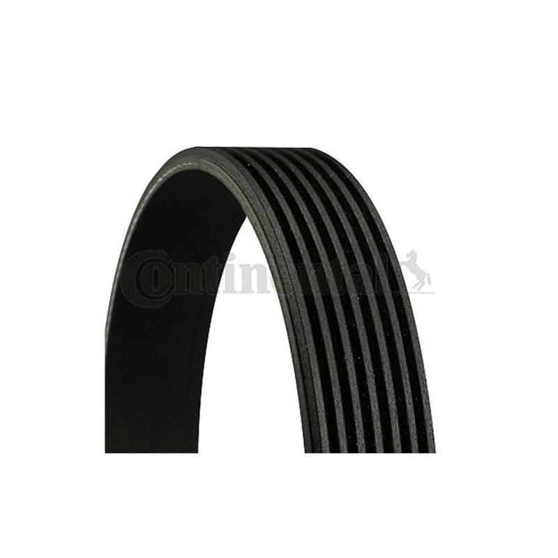 Contitech 7PK1165 Loose Multi-V Belt