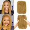 14 INCH 2 Bundles Afro Kinkys Bulk Human Hair For
