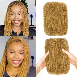 14 INCH 2 Bundles Afro Kinkys Bulk Human Hair For Dreadlocks Extensions Afro Kinky-Curly Human Hair Bulk for Twist Locs Twist Braiding Hair For Locs (14 Inch 27#, 2 Bundles)