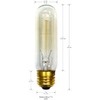 National Artcraft 25 Watt Tube Light Bulb with Standard Edison