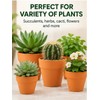 16-Pack Mini Terracotta Pots for Succulents & Cactus – 1.8-Inch