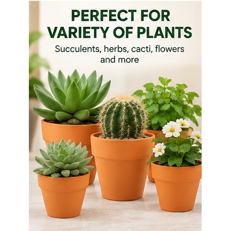 16-Pack Mini Terracotta Pots for Succulents & Cactus – 1.8-Inch
