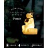Solar Light, Garden Light, Outdoor, Waterproof, Stylish, Cute, Interior, Garden,