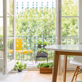 Relaxdays Capiz Garland, Set of 4 for Windows, Balcony, Door - Shell Curtain, Decorative Chains 180 cm Long, Multi-Coloured