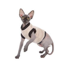 Kotomoda Cat's Pullover Beige Fleece … (XS)