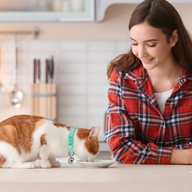 2PCS Breakaway Cat Collars with Bell Moons Stars Cute Kitty Adjustable Safe Kitten Collars with Pendant Glow in The Dark(Pink&Teal)