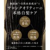 KIWABI Gray Hair Dyeing Shampoo Dark Brown 2-Piece Set Color
