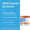 Doctors Best MSM Powder, Supports Hair, Skin, Nails, & Joints,