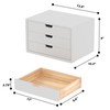 LitaEther Desk Organizer with 3 Drawers, ALEX Drawer Unit, Chic
