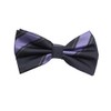 Fabio Farini - Elegant striped men's bow tie cross ties