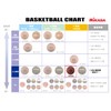 MIKASA Basketball No. 5 Japan Basketball Association Test Ball (For
