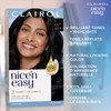 Clairol Nice'n Easy Permanent Hair Dye, 1 Blackest Black Hair