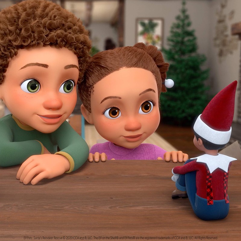 Elf Pets: Santa's Reindeer Rescue DVD