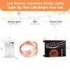 Ariceleo 1 Pack 16.4ft Battery Operated String Lights with Timer,