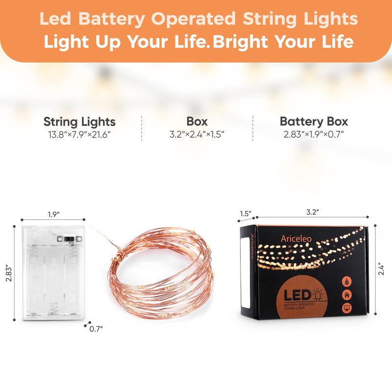 Ariceleo 1 Pack 16.4ft Battery Operated String Lights with Timer,