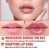 6 PCS Bee Lip Balm Honey Pot, Strawberry & Watermelon
