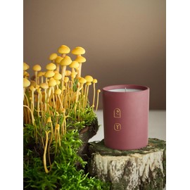 BOHEME Jar Candle, Sacred Spores, 8.5 oz. (240 g) - Scents of Citrus Zest, Cypress, and Eucalyptus - Naturally Derived Wax, No Lead, Clean Burning, Phthalate Free, Vegan, Sustainable, Made in USA