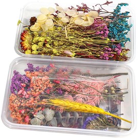 Flores secas de Resina, 2 uds., mezcladas, prensadas Naturales, Decorativas para fundición epoxi DIY