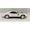 Music Speaker Dodge Challenger White Speaker Indoor/Outdoor Portable USB PORT/AUX