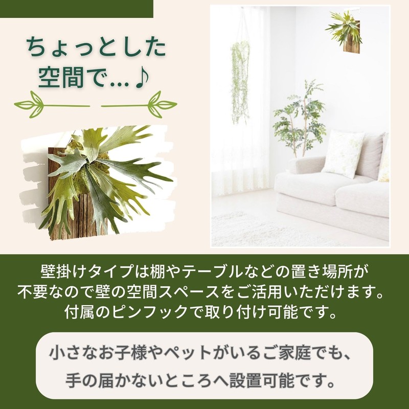 Faux Green House Plants Wood Plate Set SW2085 (Bicakfern) Bat