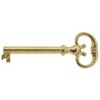 Vintage Universal Skeleton Furniture Cabinet Key Lock Polished Brass Plated