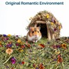 Sukh 150G Hamster Bedding - Flowers & Herbs Odor Control