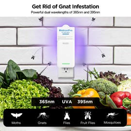 Fruit Fly Traps Gnat Traps for House Indoor, 3-in-1 UV+Blue+Yellow Light Plug-in Bug Trap, Gnats Killer, NAT Killer, Flying Insect Trap for Fruit Flies, Moths, Mosquitoes, Fungus(5 Refills)(2025 New)