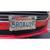 Cruiser Accessories 19130 Daisy License Plate Frame, Chrome/Painted