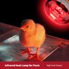 KOHEOPT 150W R40 Infrared Heat Lamp Bulb for Chicken Brooder,