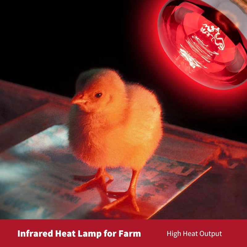 KOHEOPT 150W R40 Infrared Heat Lamp Bulb for Chicken Brooder,