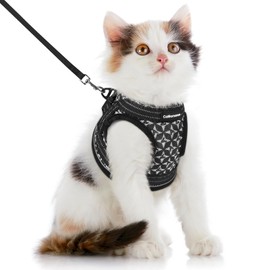 CatRomance Cat Harness and Leash Escape Proof for Walking, Safe Adjustable Medium Kitten Vest Set with Reflective Strip for Kitty, Easy Control Comfortable Soft Outdoor Pet Harnesses, Black, Medium